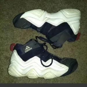 2012 Adidas Top Ten 2000 Basketball White Indigo