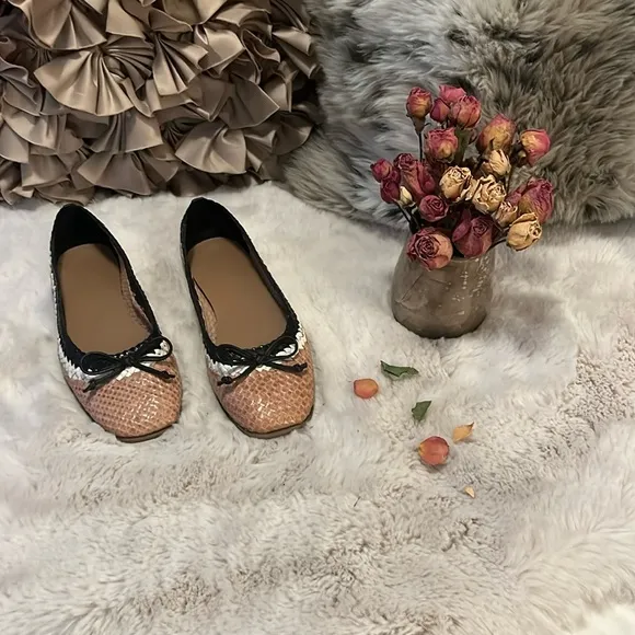 Aerosols Catalina Leather Champagne Nude Tan Square Toe Ballet Flats Shoes