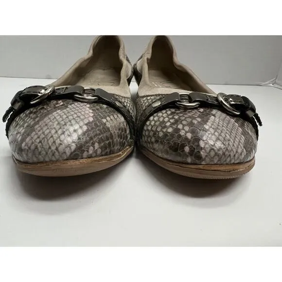 AGL Attilio Giusti Leombruni Women’s Snake Skin Leather Flats Buckle 38.5 (8.5)
