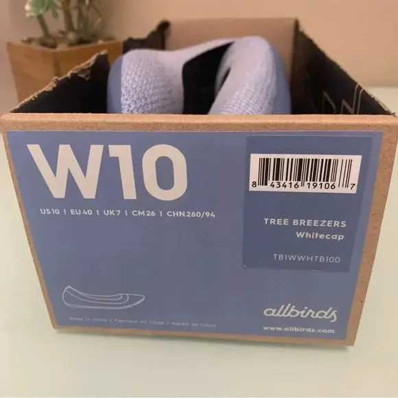 Allbirds Flats Tree Breezers Blue Size 10 NEW