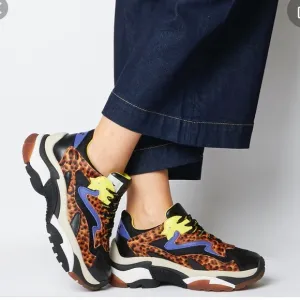 Ash ADDICT Sneakers Leopard Print Pony Hair