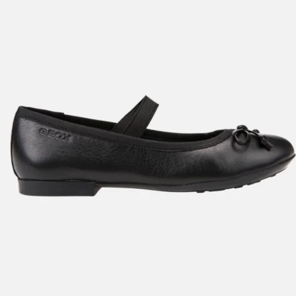 Brand New with box Geox Ballet flats size 1!