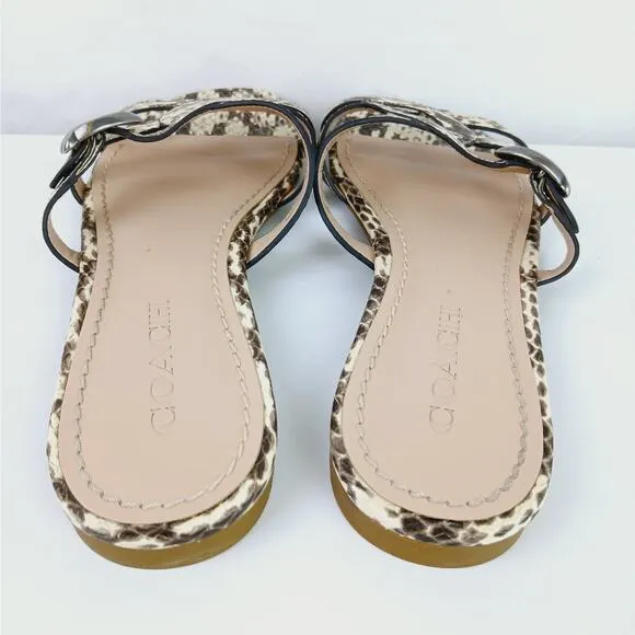 Coach SZ 9 Kennedy Leather Snakeskin Slide Sandals Adjustable Brown C3836