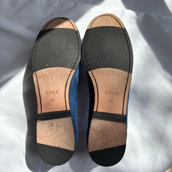 Cole Haan Women's Emmons Tassel Leather Closed Toe Limoges Suede, Size 9B