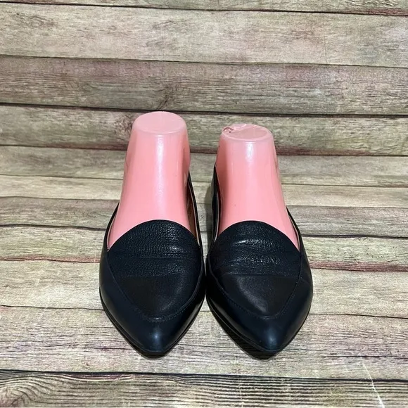 Everlane Black Leather Pointed Toe Loafers