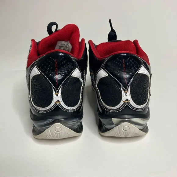 Jordan 2009 Hall Of Fame Sneakers Bug Boys Size 5Y 343602-031