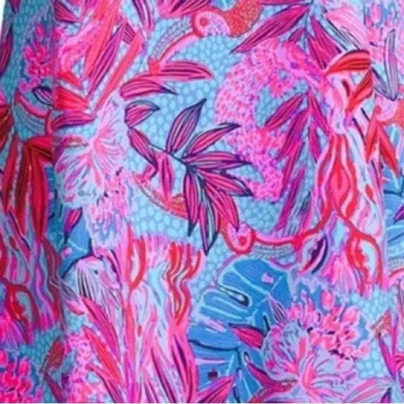 Lilly Pulitzer Arcella  Elbow Sleeve Dress Ruby Red Wild Times NWOT - Size 4