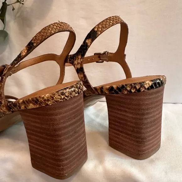 Madewell | The Hollie | ankle strap | snake embossed | block heel | 9 | sandals