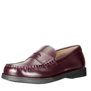 NEW SPERRY kids colton loafer in burgundy