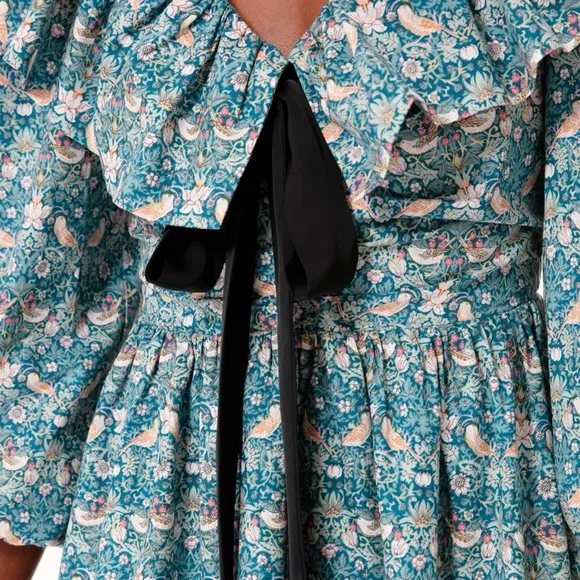 NEW Tuckernuck Hyacinth House Ruffle Collar Birdsong Mini Dress Small