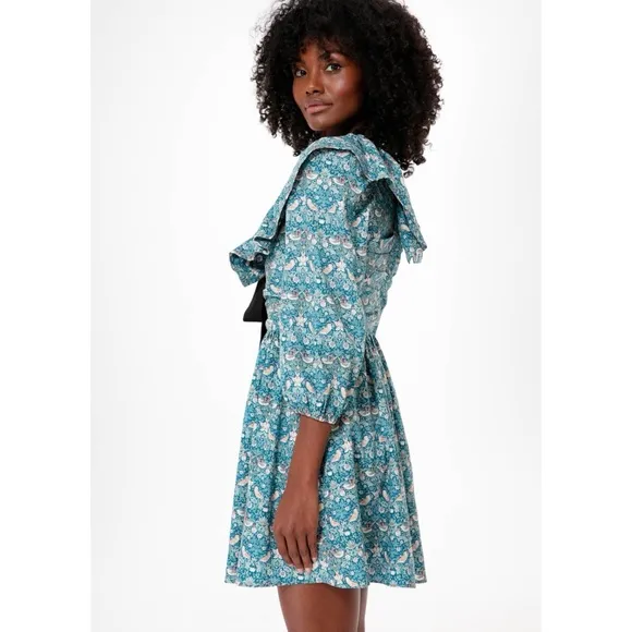 NEW Tuckernuck Hyacinth House Ruffle Collar Birdsong Mini Dress Small