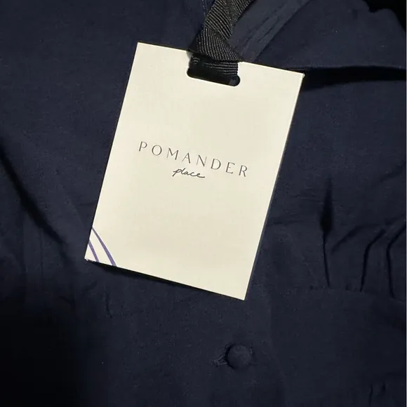 POMANDER PLACE Navy Sleeveless Noelle Maxi Dress