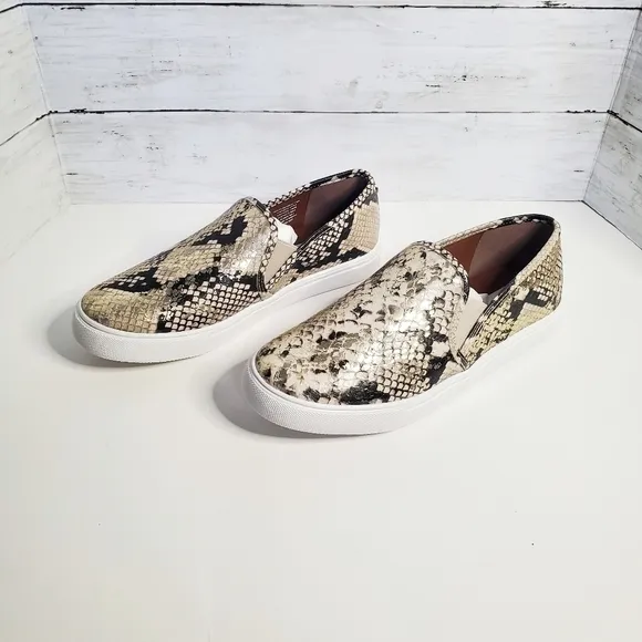 𝅺STEVE Madden Safary Snakeskin Slip On Sneakers