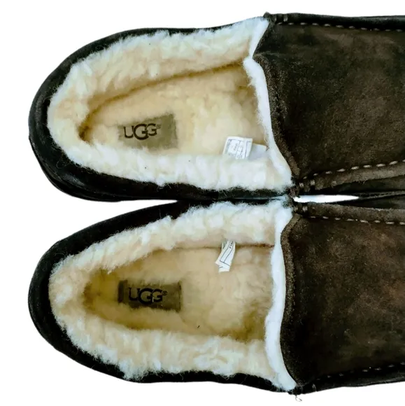 UGG Ascot Espresso Men's Loafers