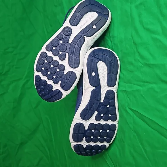 Under Armour Charged Assert 10 Blue sneakers