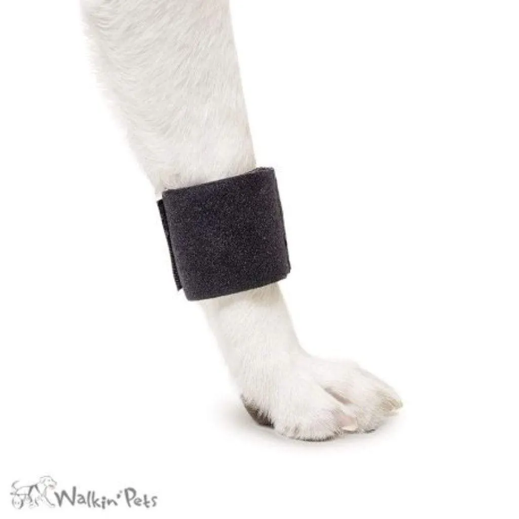 Walkin’ Wheels - Leg Ring Connector (Front Only)