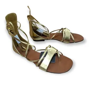 ZARA Basic Collection Gold Gladiator Sandals, 6.5